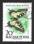Stamps Hungary -  1268 - Macaón