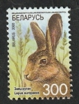 Stamps Belarus -  633 - Liebre