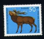 Stamps Germany -  Pro juventud- Ciervo