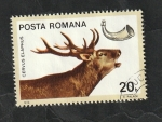 Stamps Romania -  2978 - Ciervo