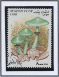 Stamps Afghanistan -  Strophria aeruginosa