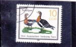 Stamps Germany -  aves