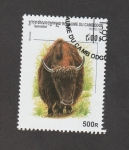 Stamps Cambodia -  Bos mutus
