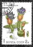 Stamps Russia -  Planta