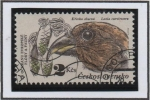 Stamps Czechoslovakia -  Especies Protegidas: Pine Cones