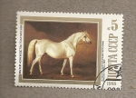 Stamps Russia -  Museo equestre de Moscú