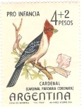 Stamps : America : Argentina :  Cardenal