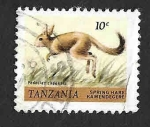 Stamps Tanzania -  161 - Liebre Saltadora del Cabo
