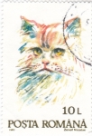 Stamps Romania -  GATO