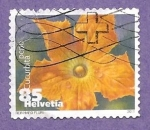 Stamps Switzerland -  INTERCAMBIO