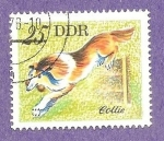 Stamps Germany -  INTERCAMBIO