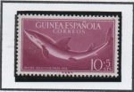 Stamps Spain -  Carcharrhinus
