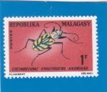 Stamps Madagascar -  INSECTO