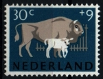 Stamps Netherlands -  Pro caridad