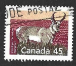 Stamps Canada -  1172 - Berrendo