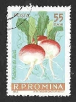 Stamps Romania -  1542 - Rábanos