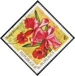Stamps Burundi -  Flores
