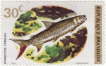 Stamps : Africa : Rwanda :  Fish (1973), Pez tigre menor (Hydrocynus forskahlii)