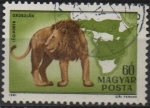 Stamps Hungary -  León