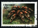 Stamps Tanzania -  serie- Arácnidos