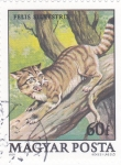 Stamps Hungary -  FELINO SILVESTRE
