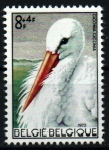 Stamps Belgium -  serie- Aves