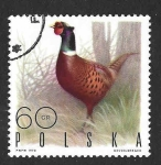 Stamps Poland -  1721 - Faisán Común