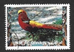 Stamps United Arab Emirates -  Mi1243A - Faisán Dorado (UMM AL-QAYWAYN) 