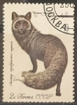 Stamps Russia -  Animales - Zorro negro