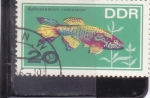 Stamps Germany -  PEZ