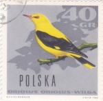 Stamps Poland -  AVE-