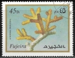 Stamps United Arab Emirates -  Vida marina - Acropora prolifera