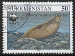 Stamps Turkmenistan -  phoca caspica