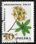 Stamps Poland -  Flores - Azalea pontica