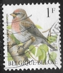 Stamps Belgium -  Aves - Common Redpoll