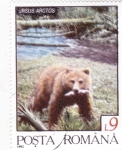 Stamps Romania -  OSO PARDO