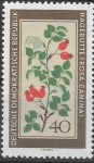 Stamps Germany -  DDR