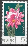 Stamps Germany -  DDR