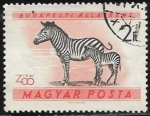 Stamps Hungary -  Animales - Cebra