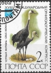 Stamps Russia -  aves