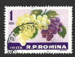Stamps Romania -  1571 - Uvas
