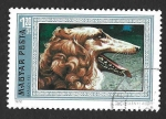 Stamps Hungary -  2138 - Borzoi Marrón