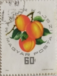 Stamps Hungary -  RESERVADO MANUEL BRIONES