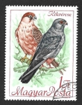 Stamps Hungary -  1892 - Cernícalo Patirrojo