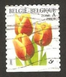 Stamps Belgium -  flora, tulipan