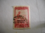Stamps Argentina -  