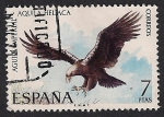 Stamps Spain -  Fauna Hispanica