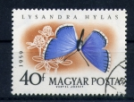 Stamps Hungary -  Lysandra hylas
