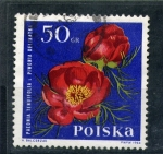 Stamps Poland -  Paeonia tenuifolia