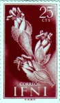 Stamps Spain -  IFNI. Serie básica flora y fauna
